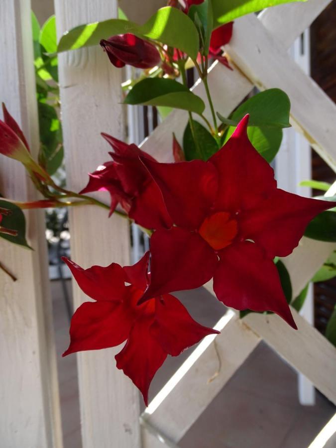 Bed and Breakfast Casa Dell'Aura Chiavari Exterior foto
